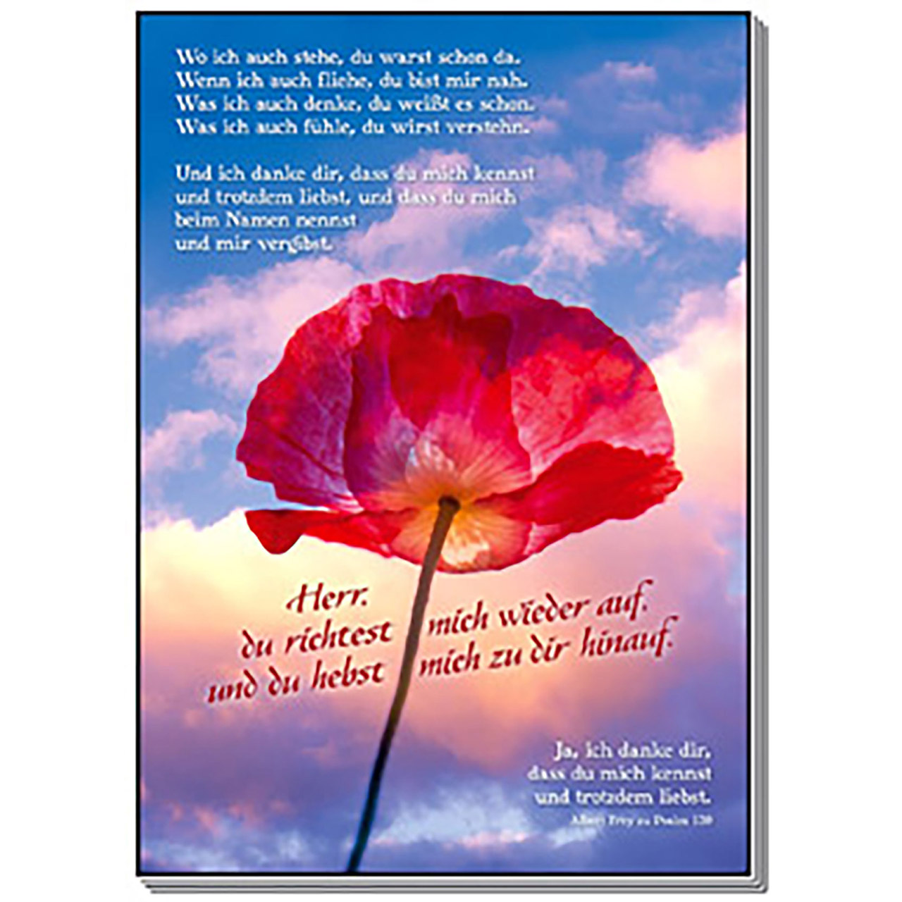 Poster - Wo ich auch stehe, - Mohnblume Klatschmohn Himmel