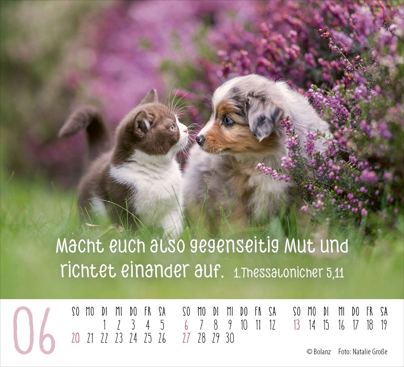 Aufstellkalender - Begegnungen 2027 Minikalender