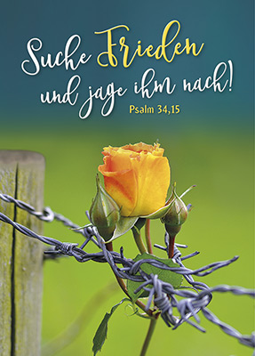 Suche Frieden und jage ihm nach!