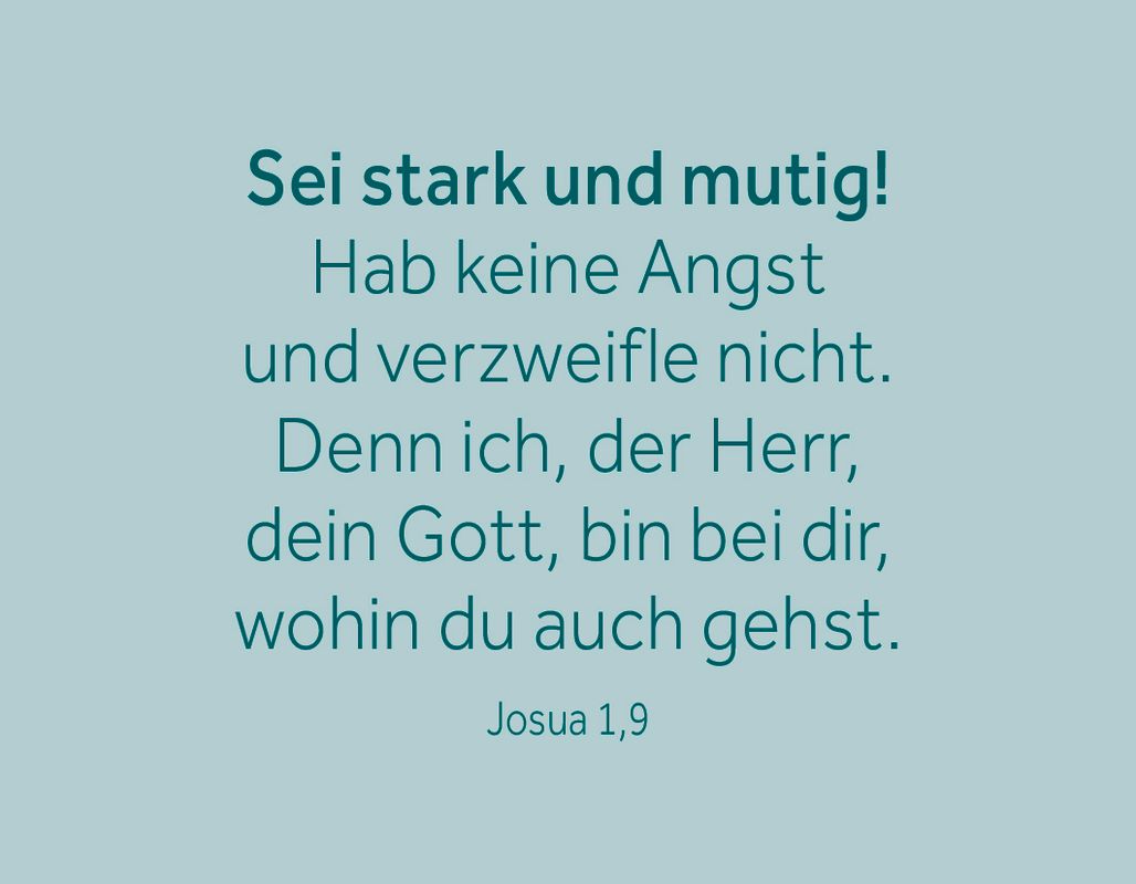 Karten-Box - Mein Gott kann.
