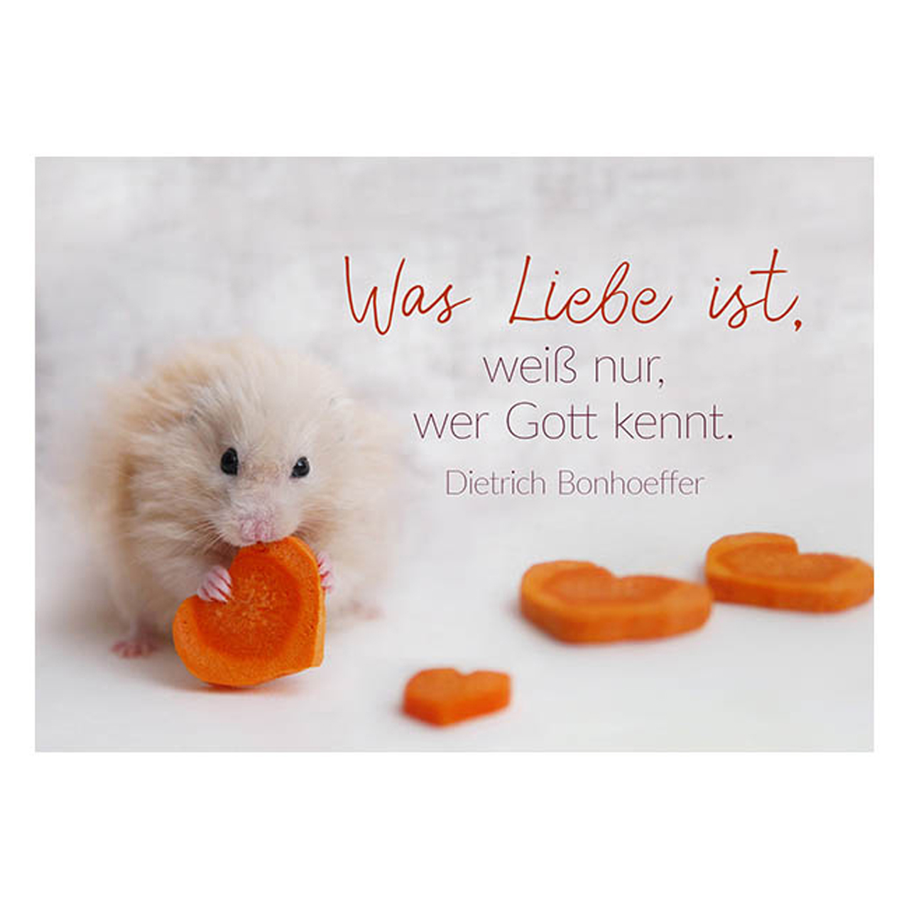Postkarte - Postkarte 'Was Liebe ist, weiß nur, wer Gott kennt. Dietrich Bonhoeffer' 1EX - Hamster Möhren Herz