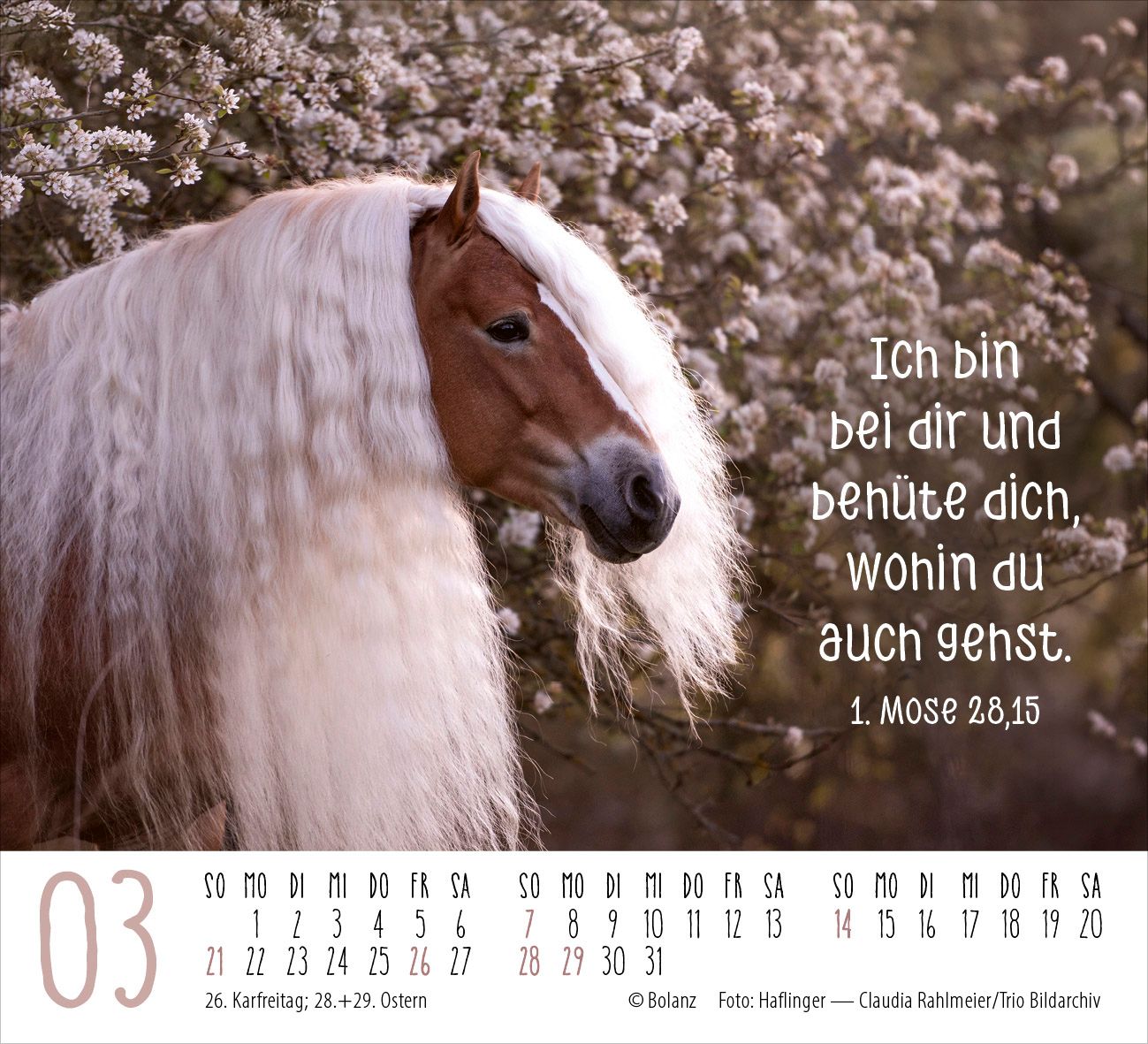 Aufstellkalender - Pferde 2027