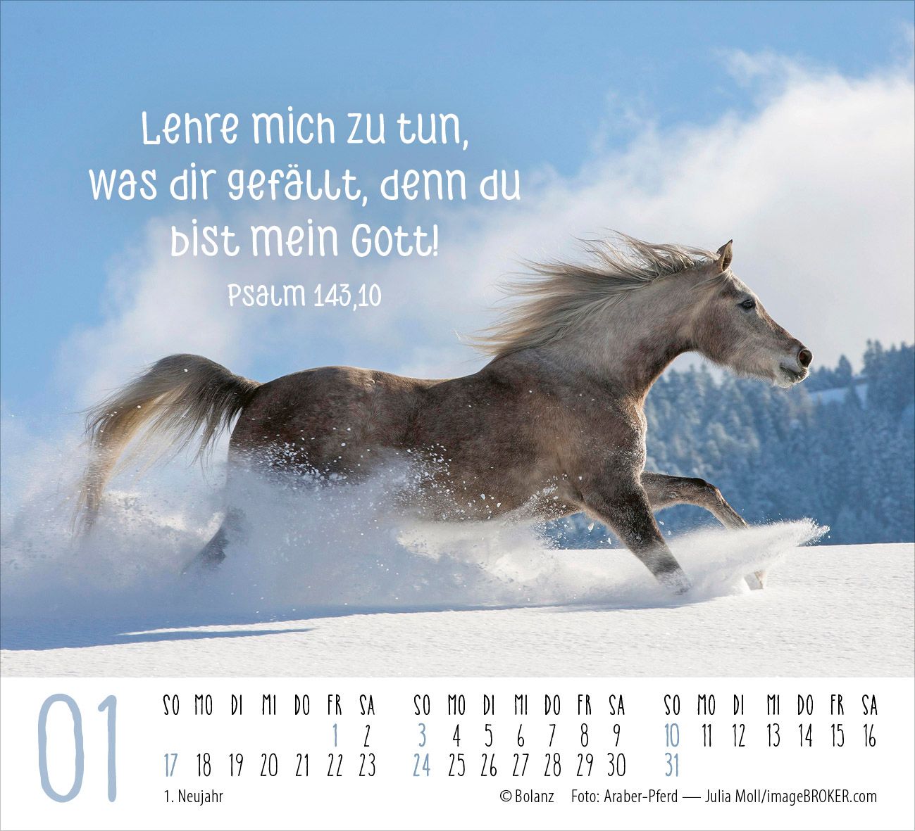 Aufstellkalender - Pferde 2027