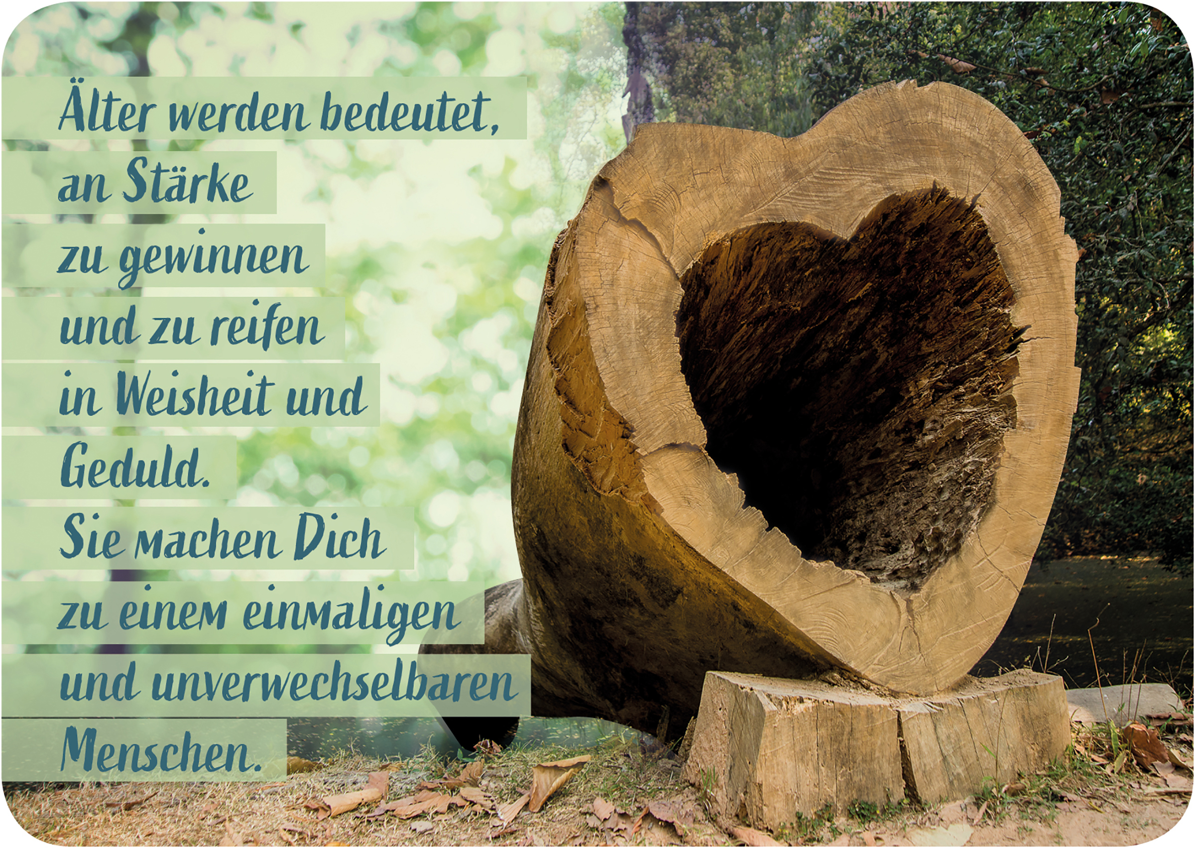 Karte - Postkarte 'Älter werden bedeutet...'