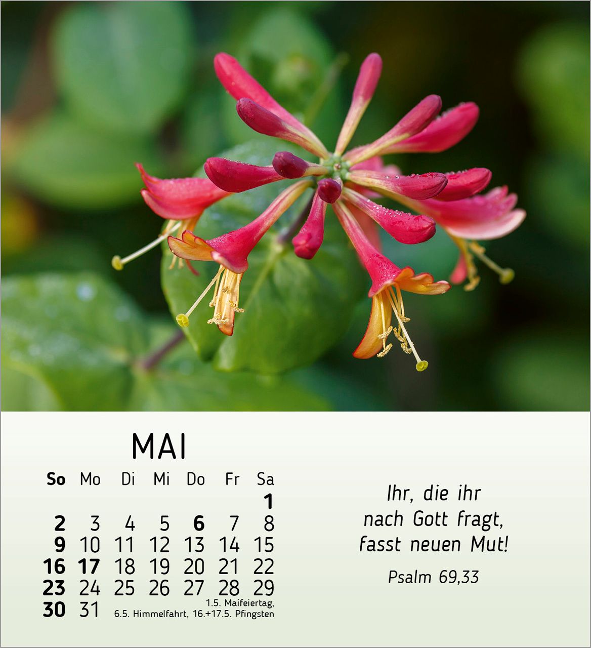 Tischkalender - Ich wünsch dir Freude 2027