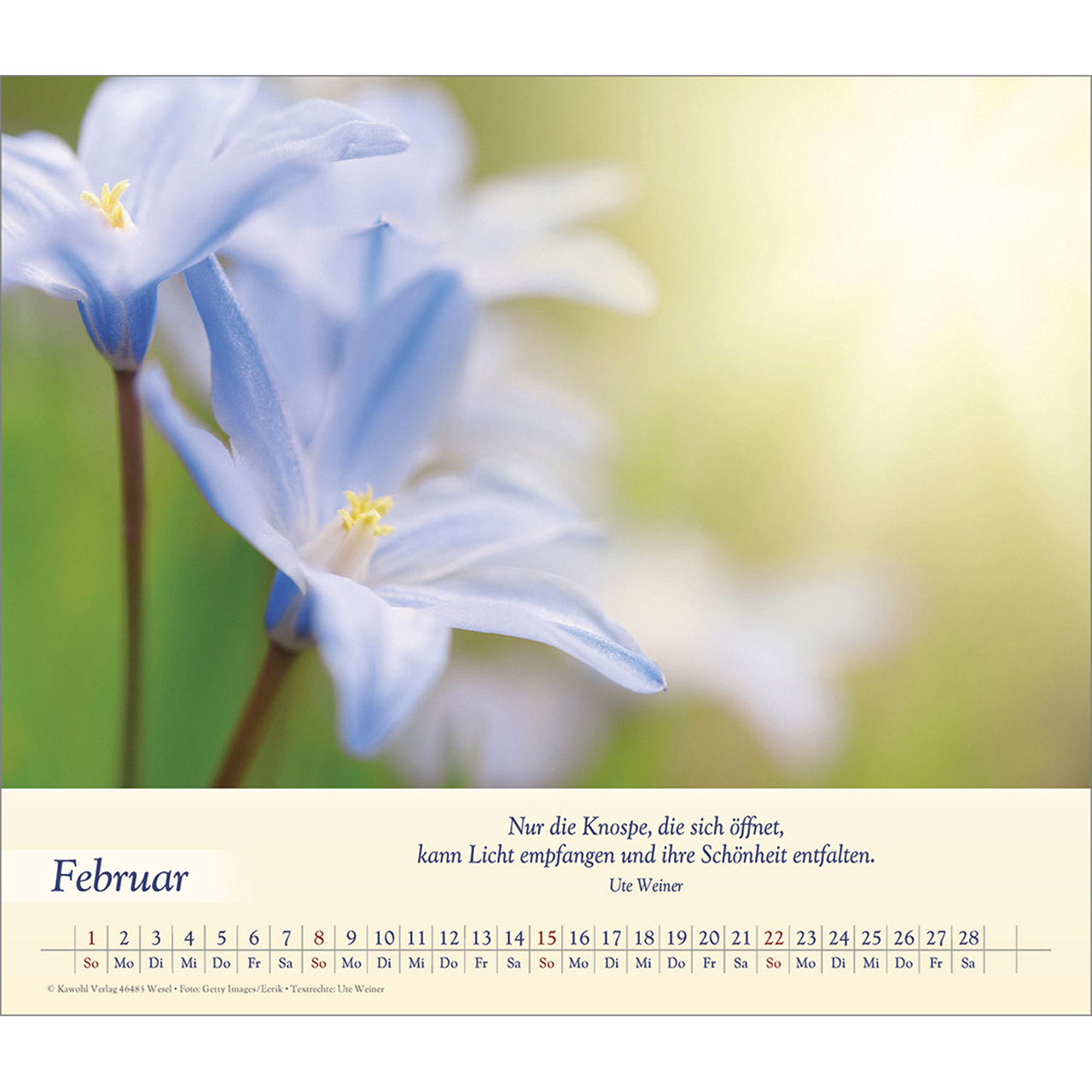 Wandkalender - Balsam für deine Seele 2026