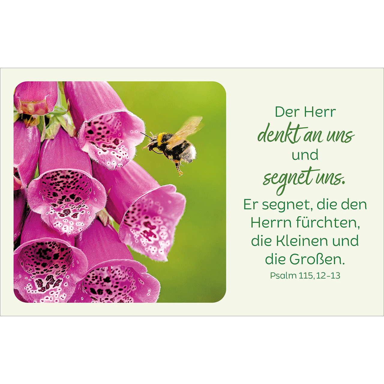 Karten-Box Kunststoff - Blütenreiche Bibelverse - Sonnenblumen