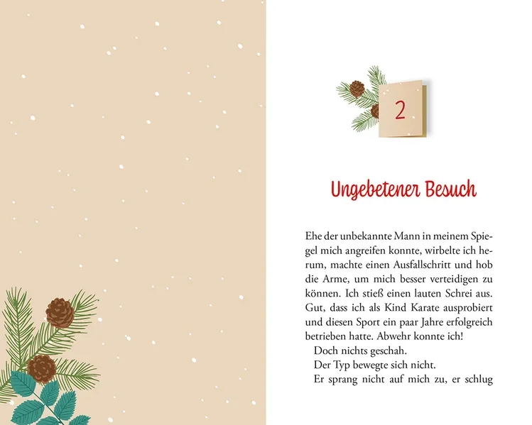 Buch - Entführt im Advent