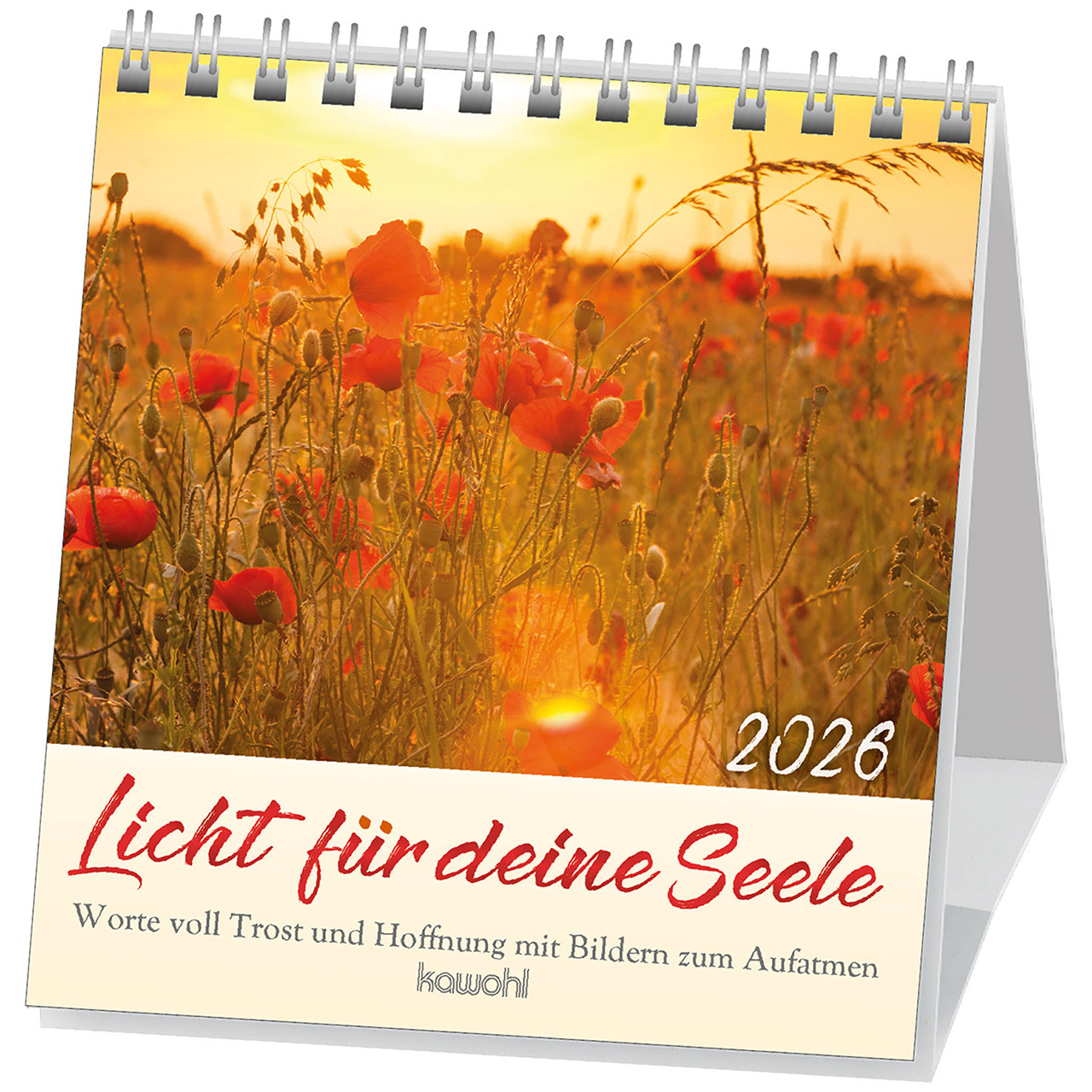 Licht für deine Seele 2026