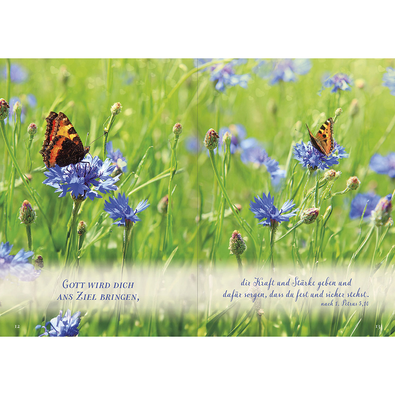 Grußheft - Sei beschützt und geborgen - Schmetterling Blumen