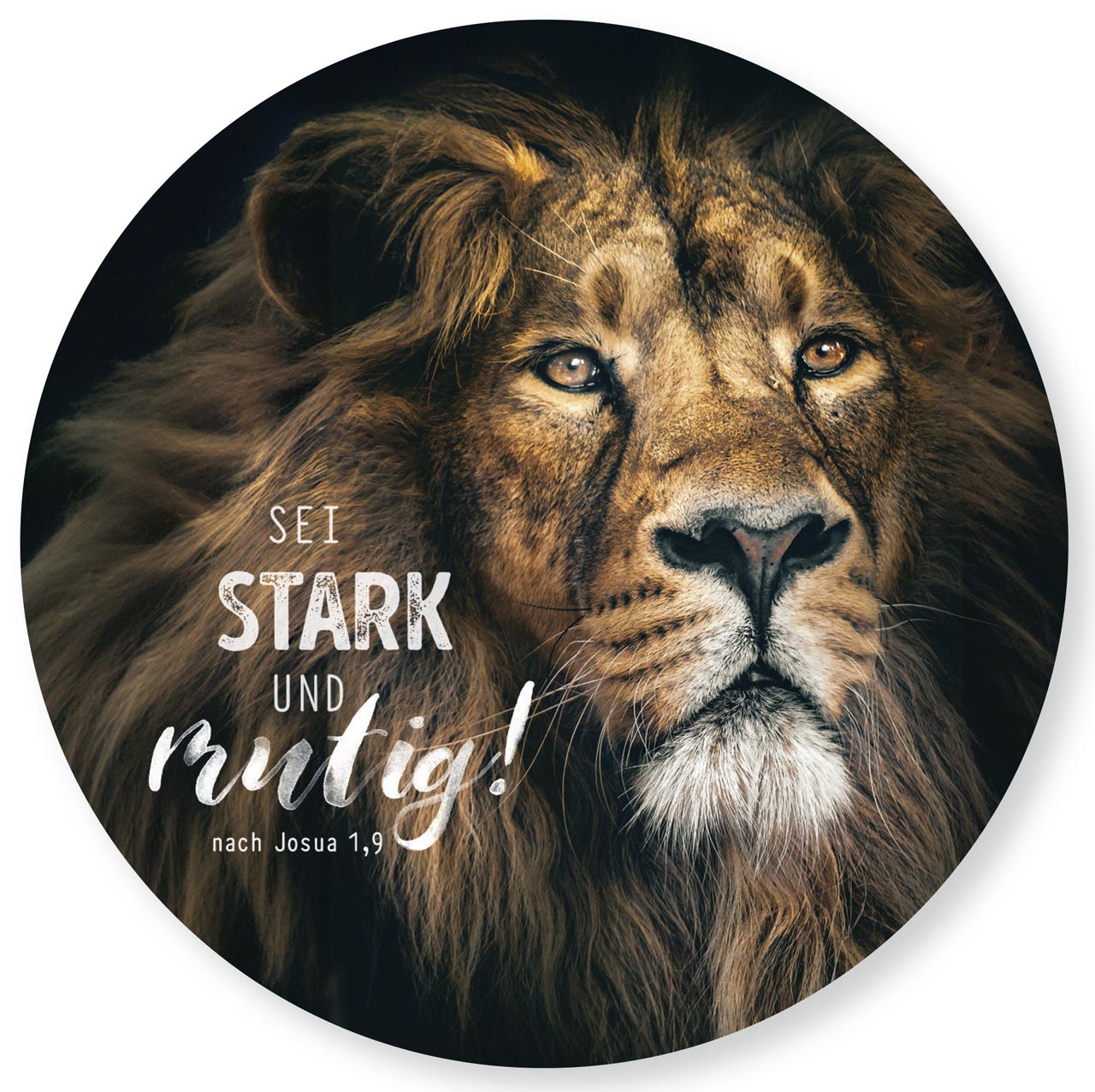 Wanddekoration - Wandschmuckbild Löwe