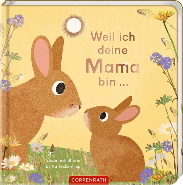 Buch - Weil ich deine Mama bin ...