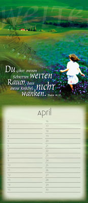 Immerwährender Kalender - Begegnungen auf seinem Weg - Frau Tuch Mohnblumen Pusteblume