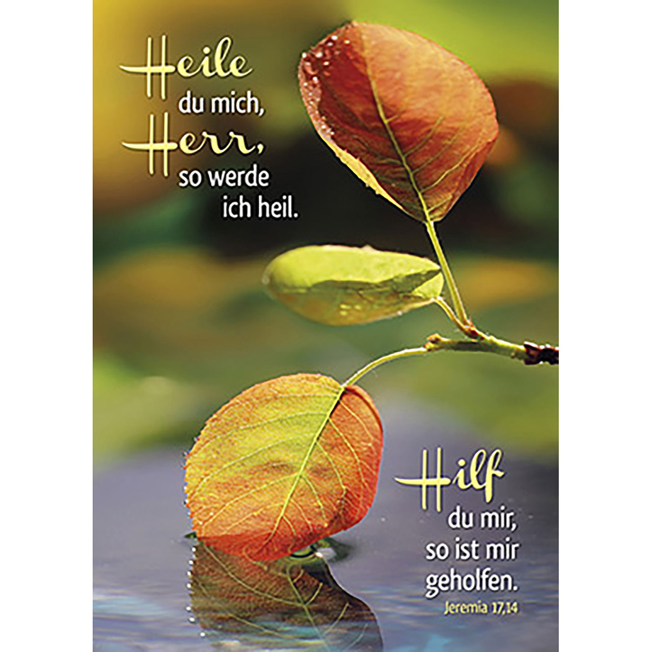 Heile du mich, Herr Poster - Heile du mich, Herr - Ast Blätter Wasser