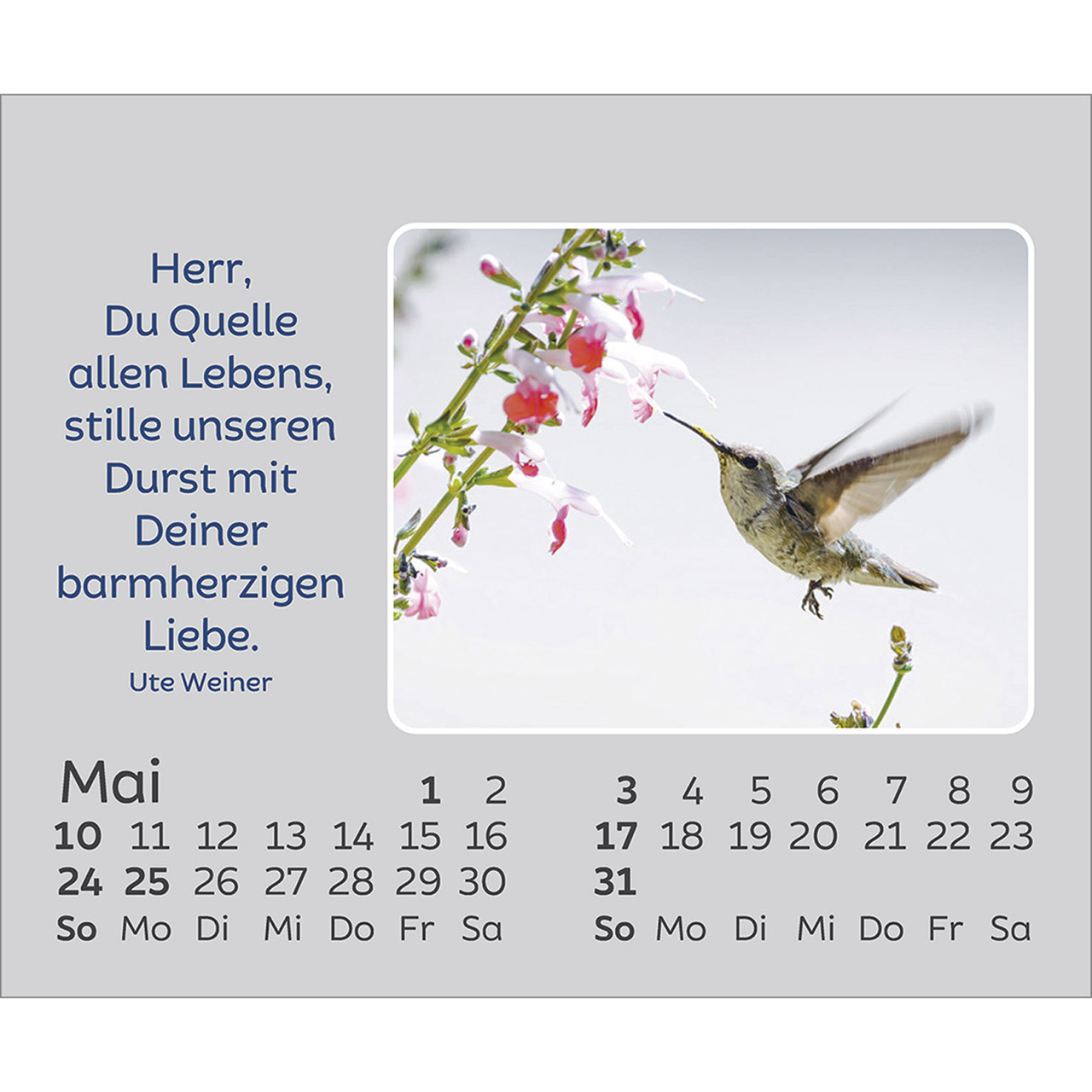 Tischkalender - Hoffnung für jeden Tag 2026