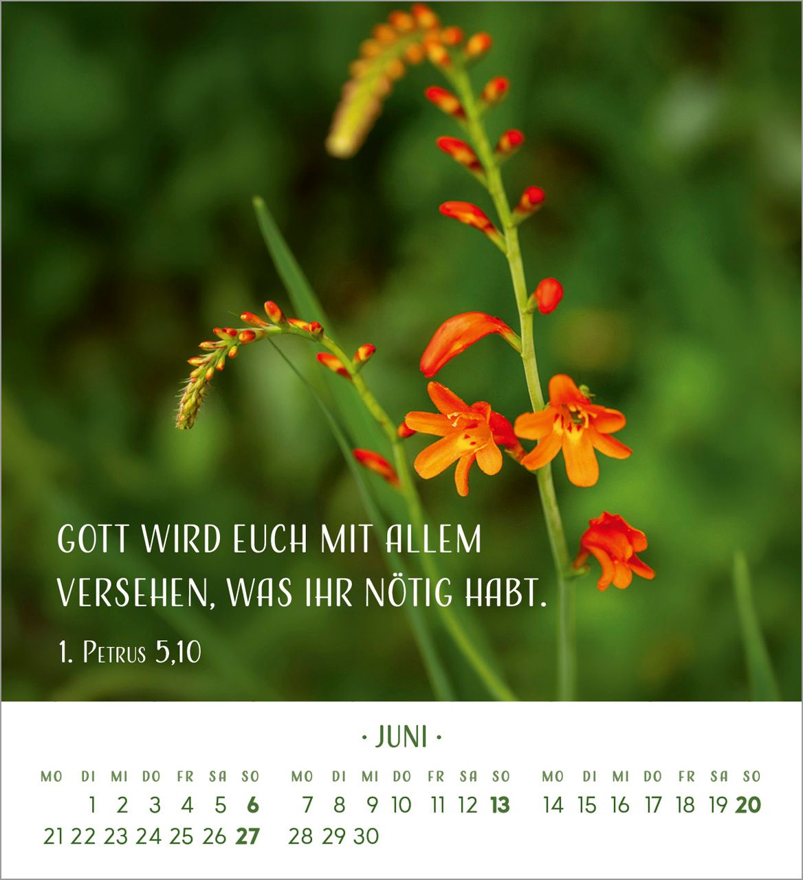 Tischkalender - Zarte Blumengrüße 2027