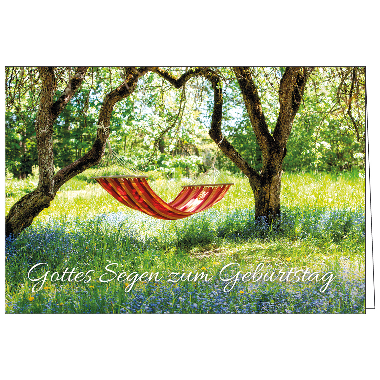 Faltkarte - Gottes Segen zum Geburtstag - Hängematte Bäume Wiese Blumen