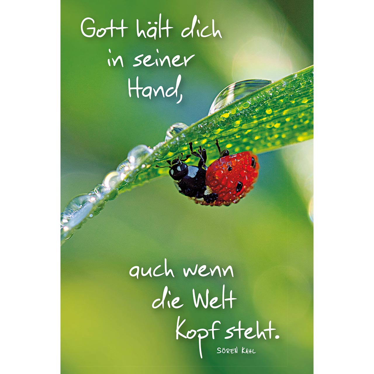 Gott hält dich