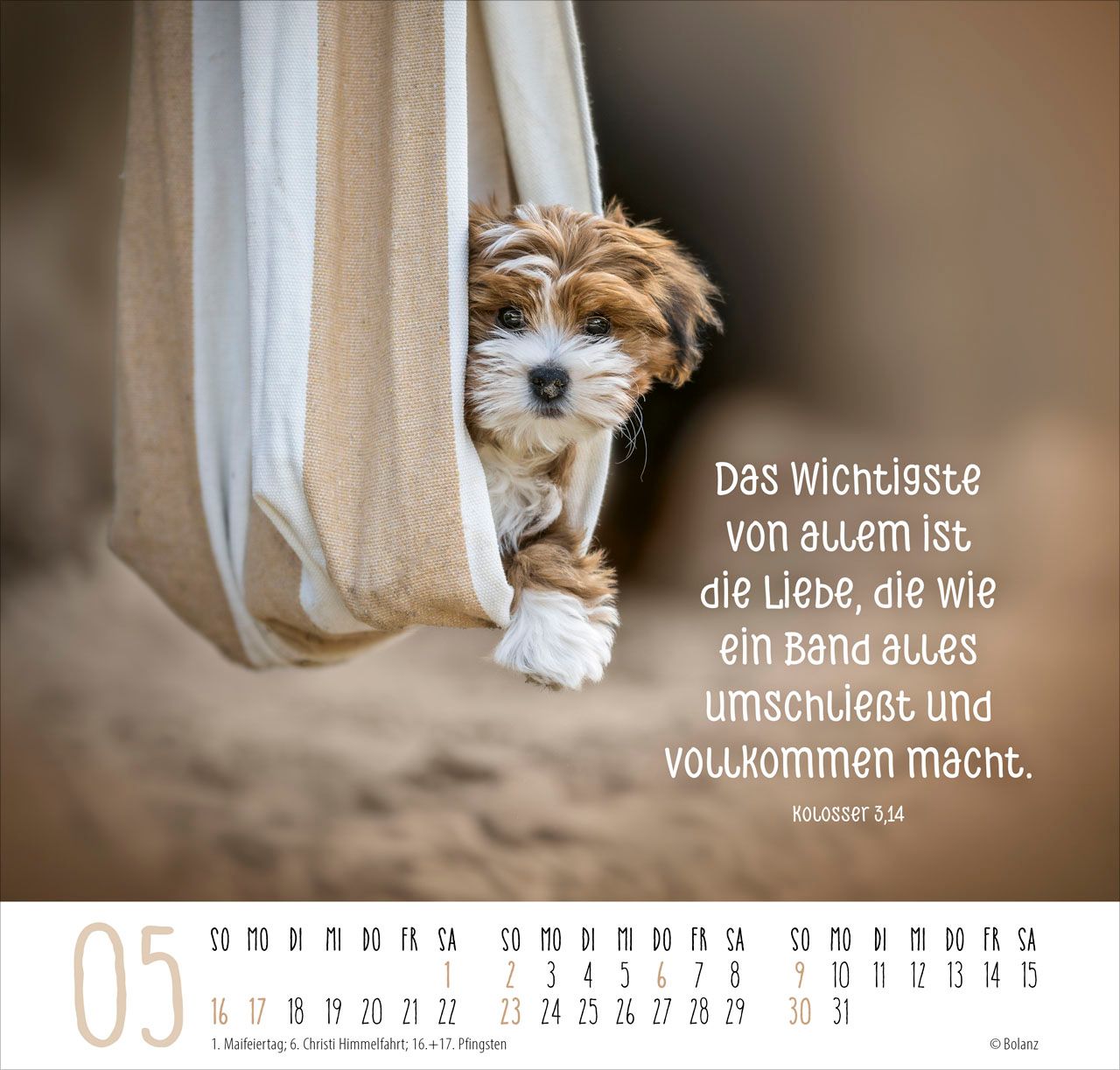 Posterkalender - Beste Freunde 2027