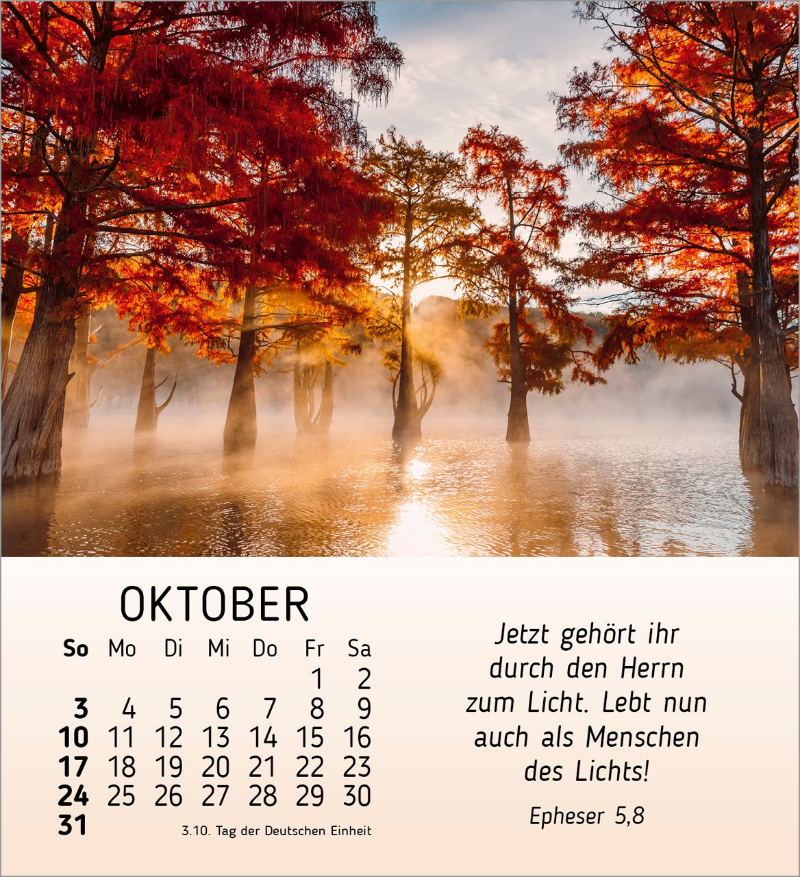 Tischkalender - Schönheit des Lichts 2027