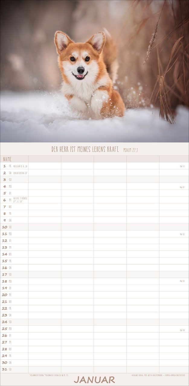 Terminkalender - Hunde 2027