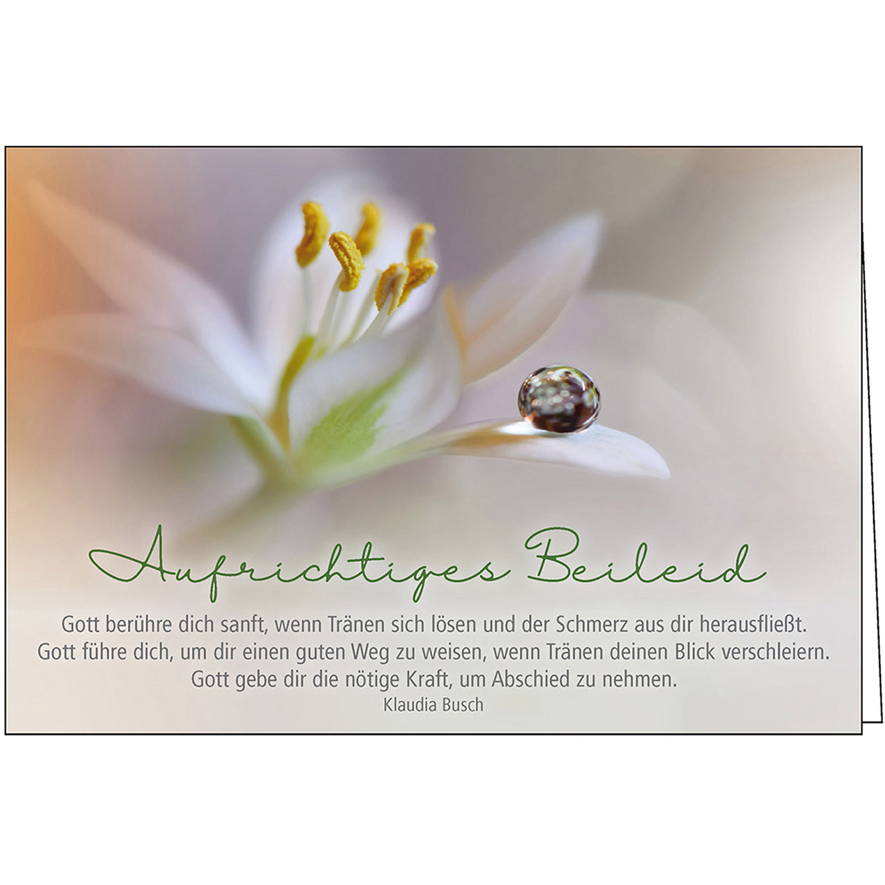 Gott berühre dich sanft Faltkarte - Gott berühre dich sanft - Blüte Tropfen