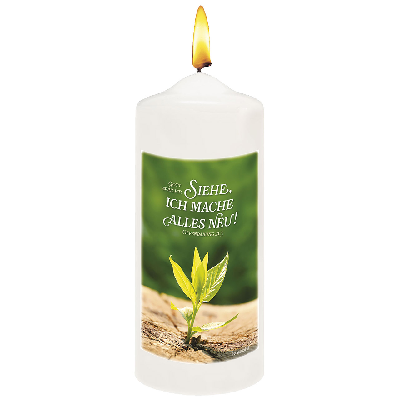 Gott spricht: Siehe, ich mache alles neu! Gott spricht: Siehe, ich mache alles neu!