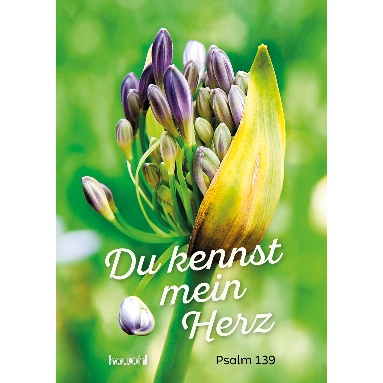 Grußheft - Du kennst mein Herz - Blume Knospe
