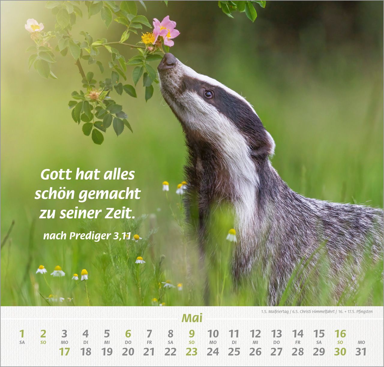 Wandkalender - Ich hab dich gern 2027 Wandkalender