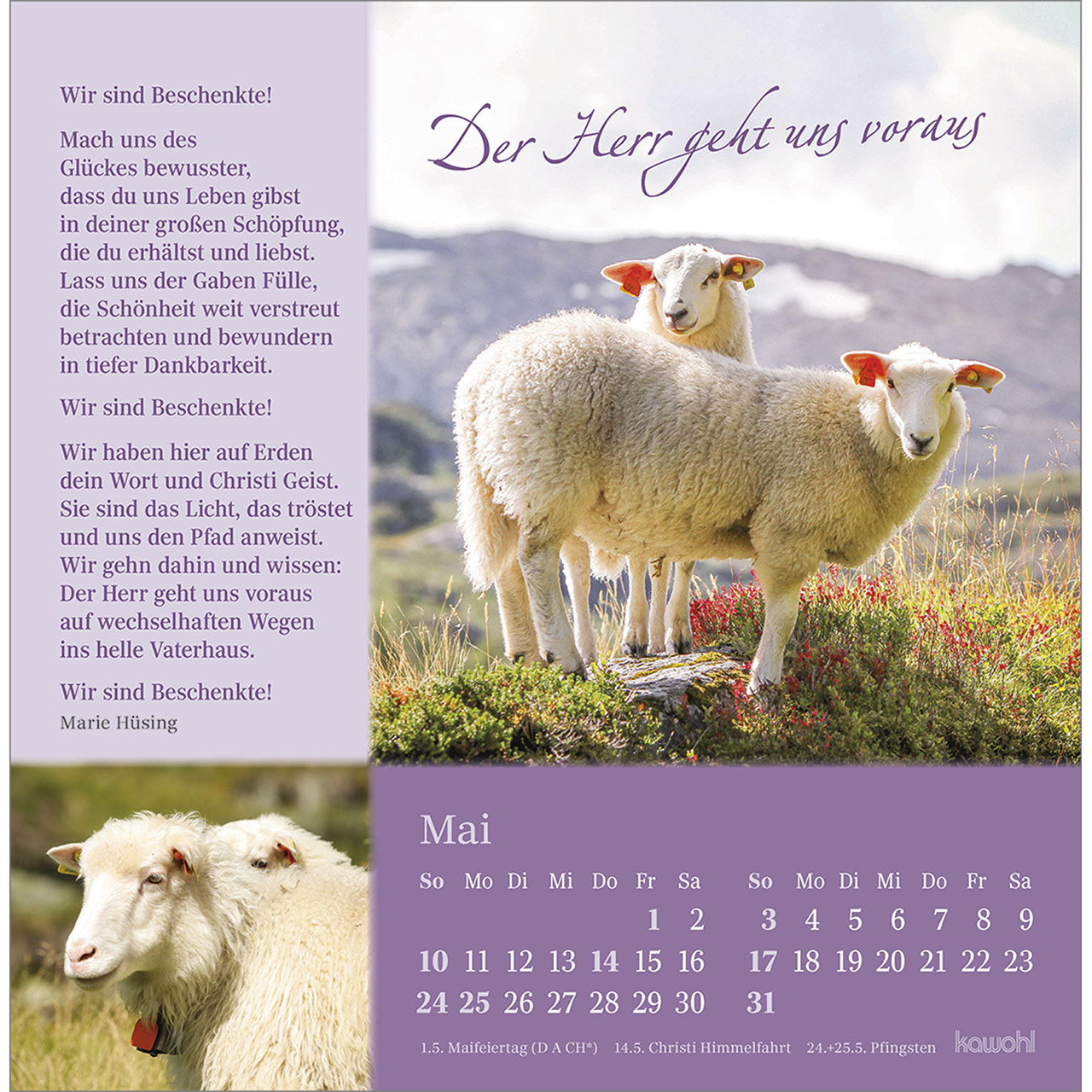 Postkartenkalender - Sei behütet und gesegnet 2026