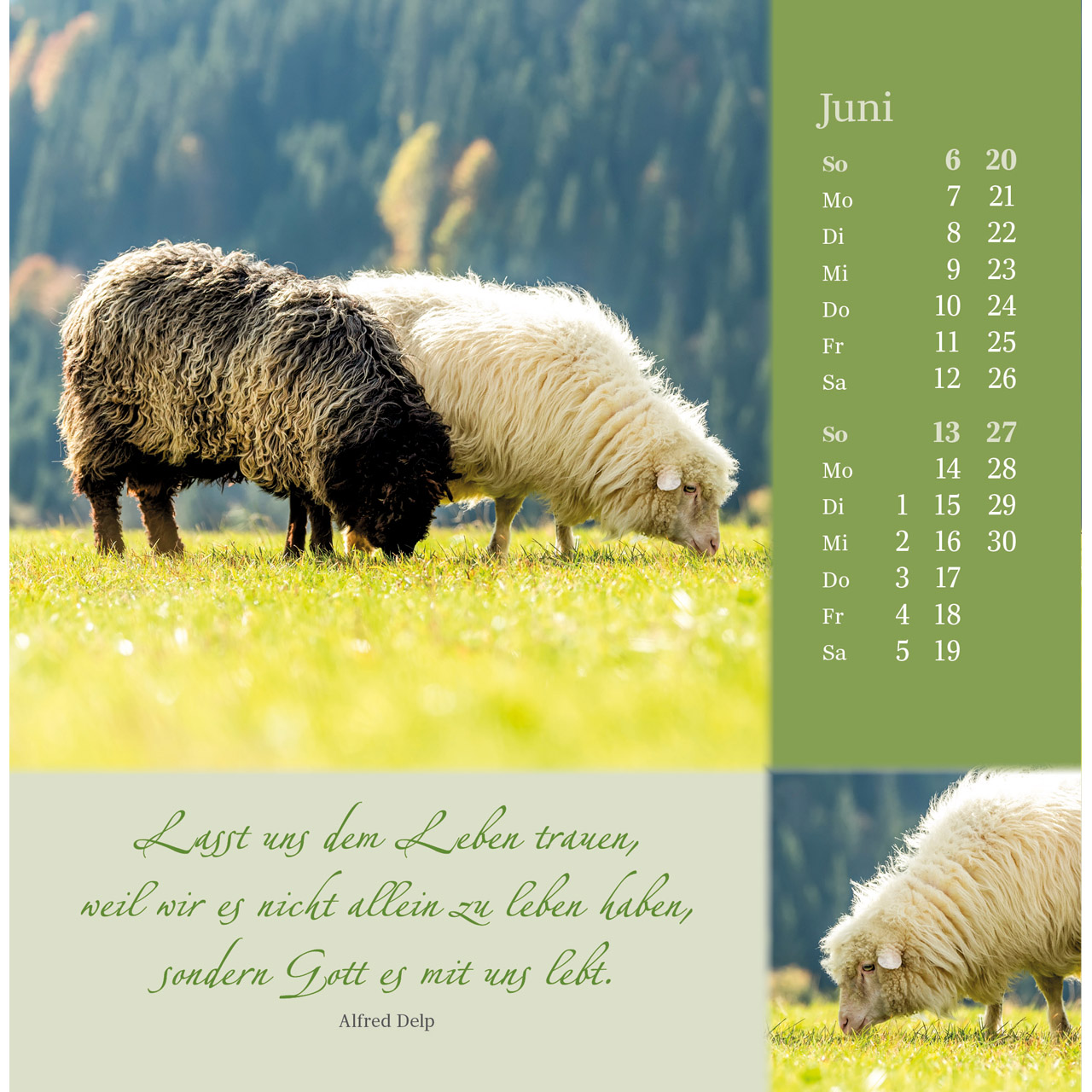 Postkartenkalender - Sei behütet und gesegnet 2027