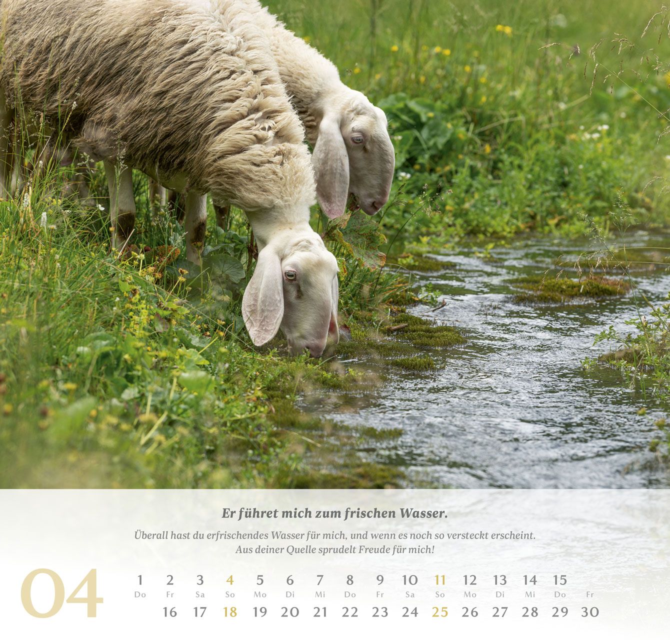 Wandkalender - Psalm 23 2027 Wandkalender