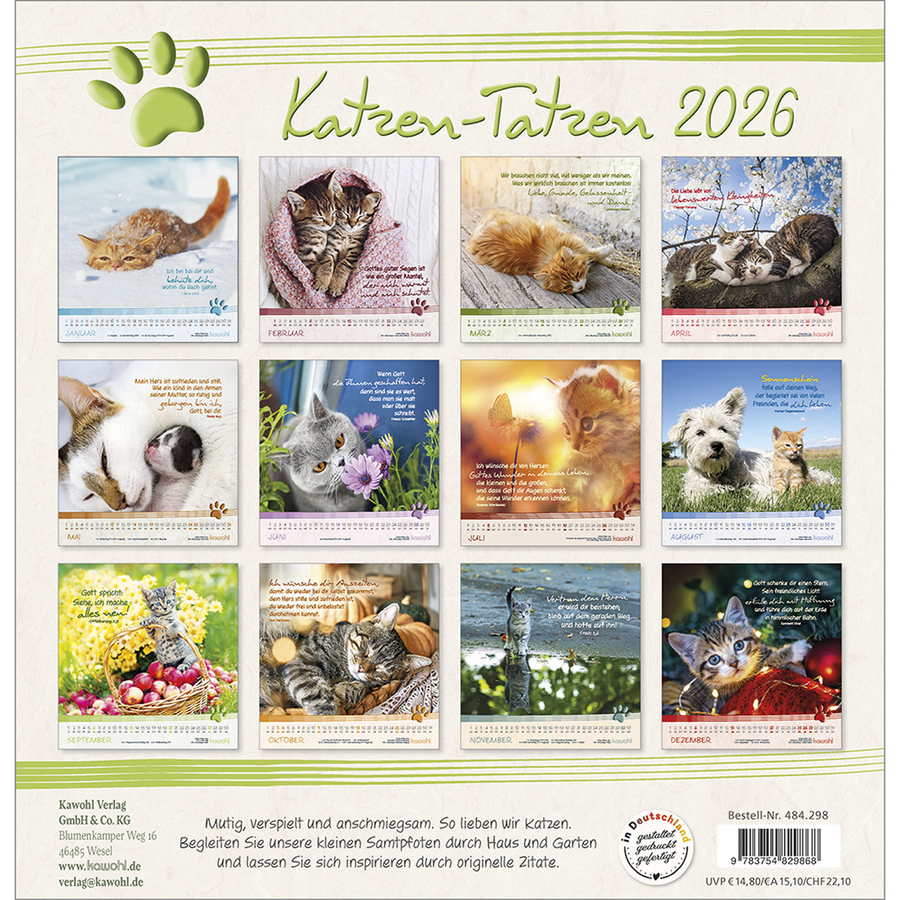 Wandkalender - Katzen-Tatzen 2026