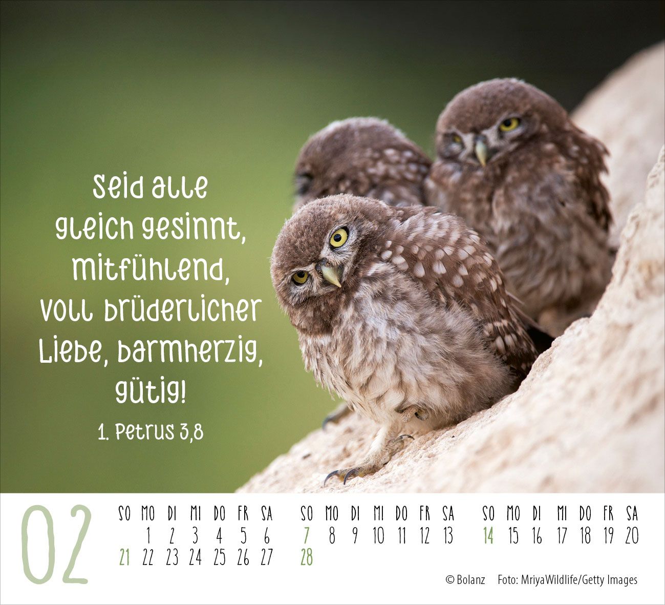 Aufstellkalender - Begegnungen 2027 Minikalender
