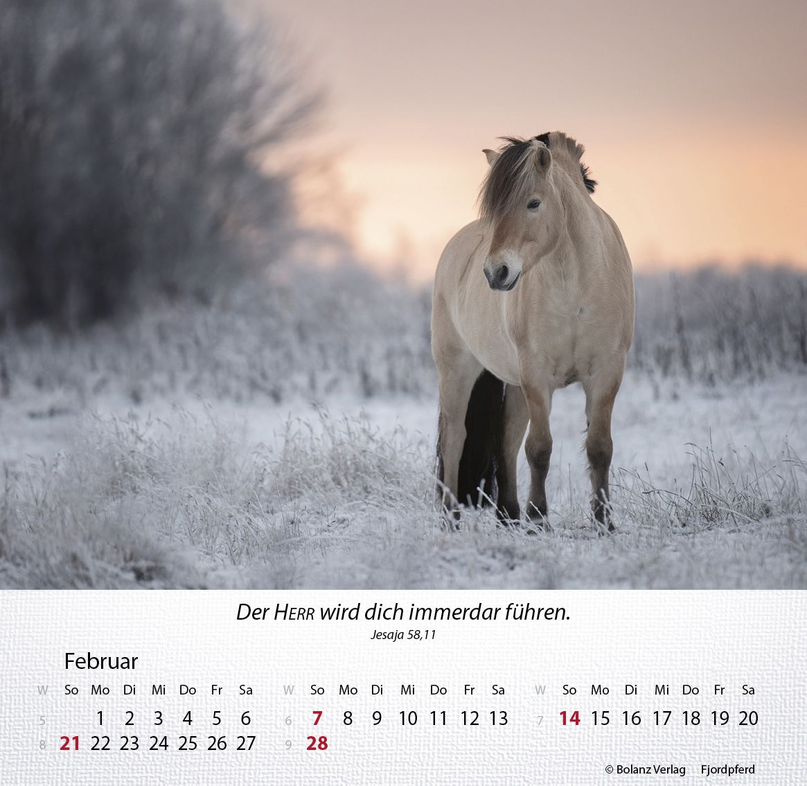 Tischkalender - Pferde 2027 Tischkalender