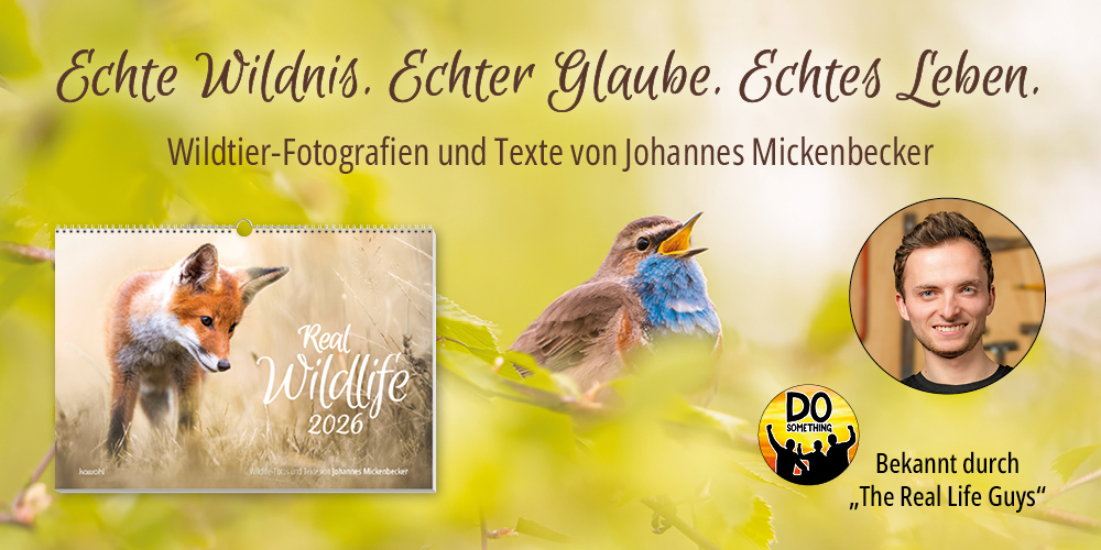 Banner mit dem Titel "Echte Wildnis. Echter Glaube. Echte Leben." zeigt einen Kalender mit Tierfotografie und enthält Informationen über Johannes Mickenbecker.