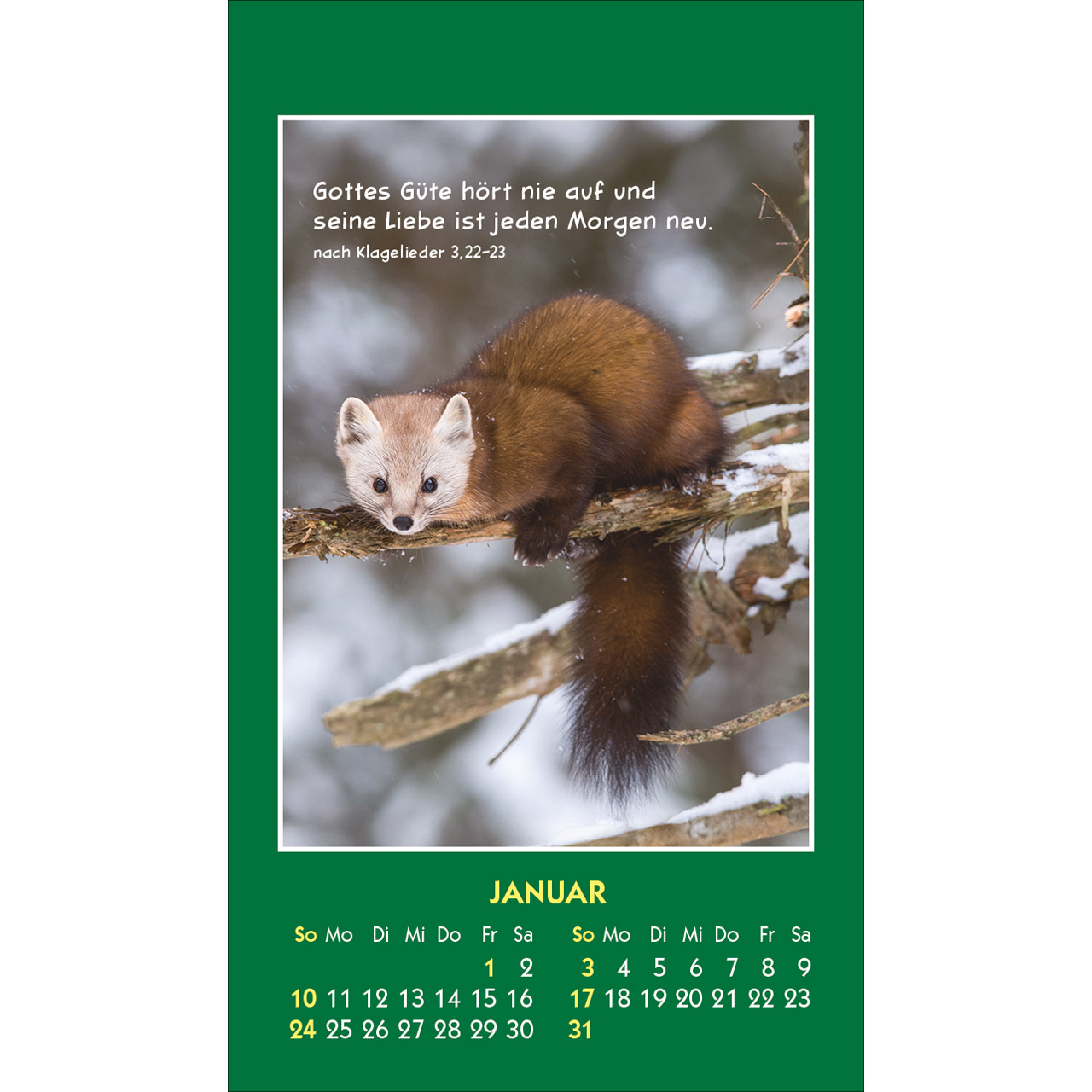 Aufkleberkalender - Hallo Du 2027
