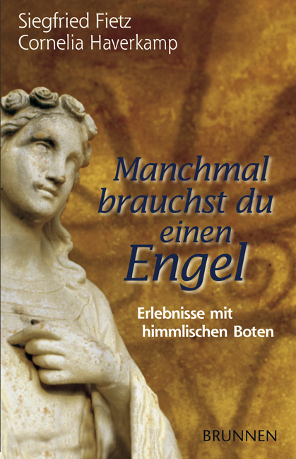 Manchmal brauchst du einen Engel Buch - Manchmal brauchst du einen Engel