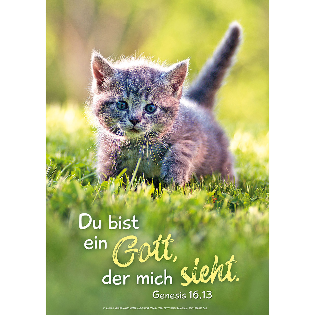 Du bist ein Gott, der mich sieht.
