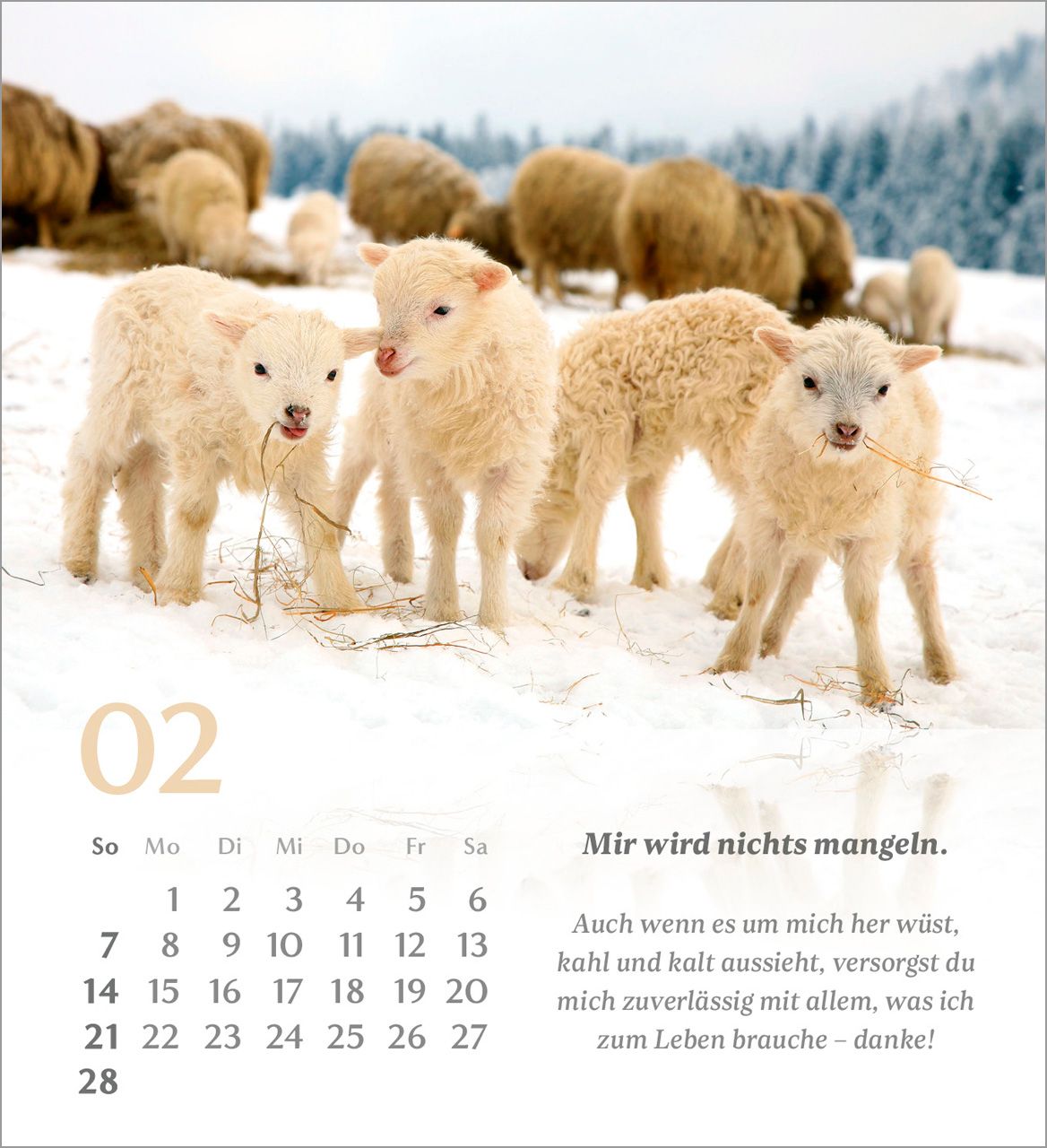 Tischkalender - Psalm 23 2027