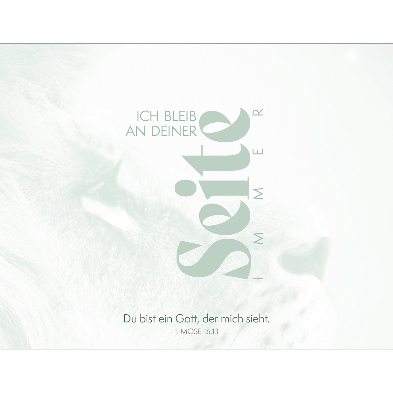 Aufstellbuch - Mutig und gestärkt auf deinem Weg - Mond Löwenkopf