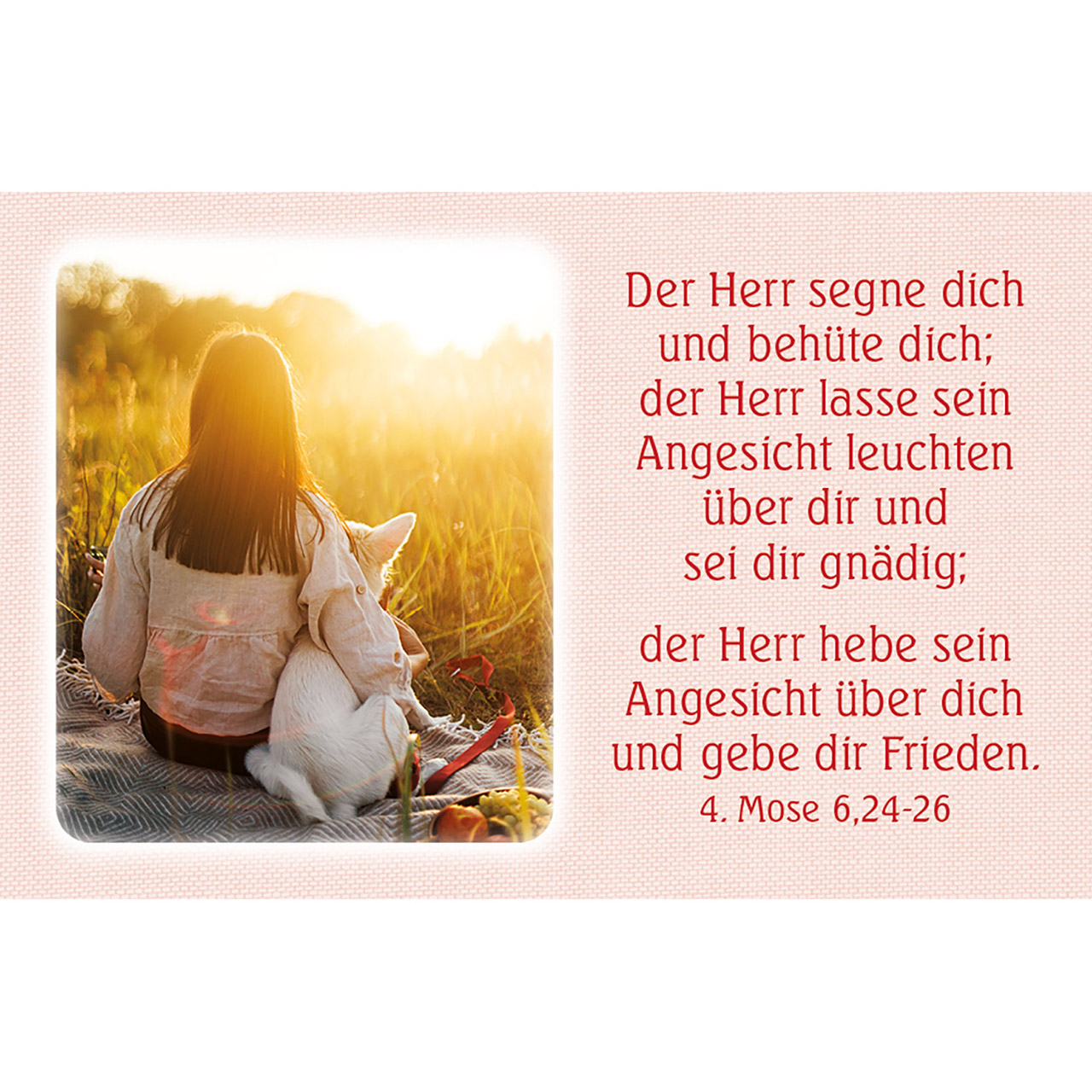 Karten-Box Kunststoff - Segenskarten - Mohnblumen Sonne Himmel