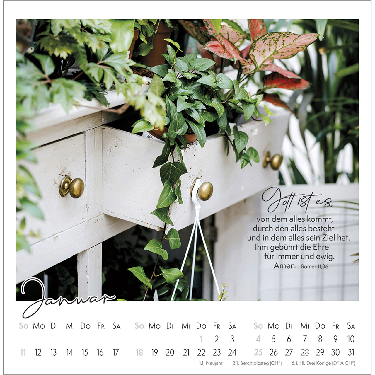 Postkartenkalender - Kleine Auszeit im Grünen 2026