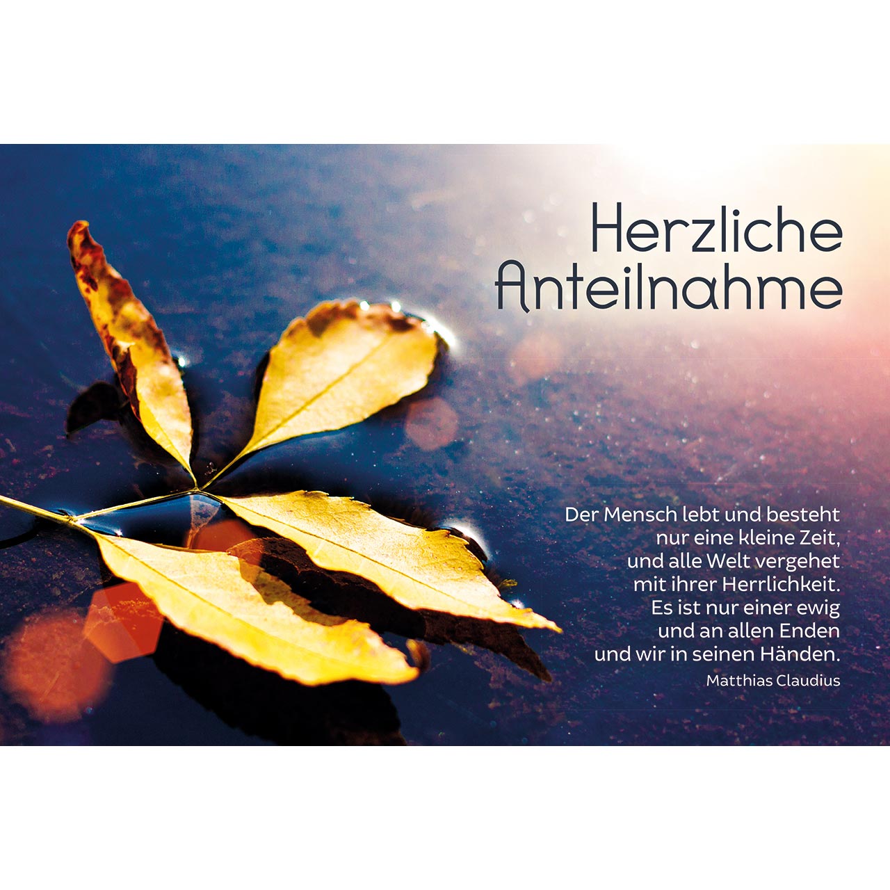 Faltkarte - Herzliche Anteilnahme - Blatt Wasser