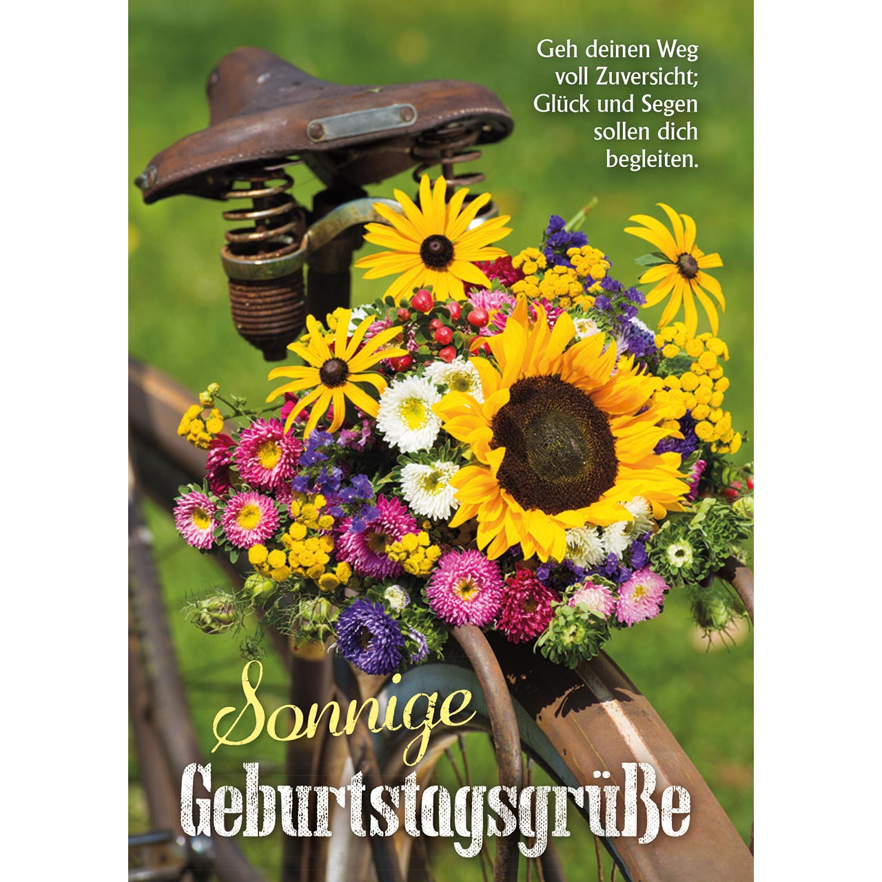 Sonnige Geburtstagsgrüße