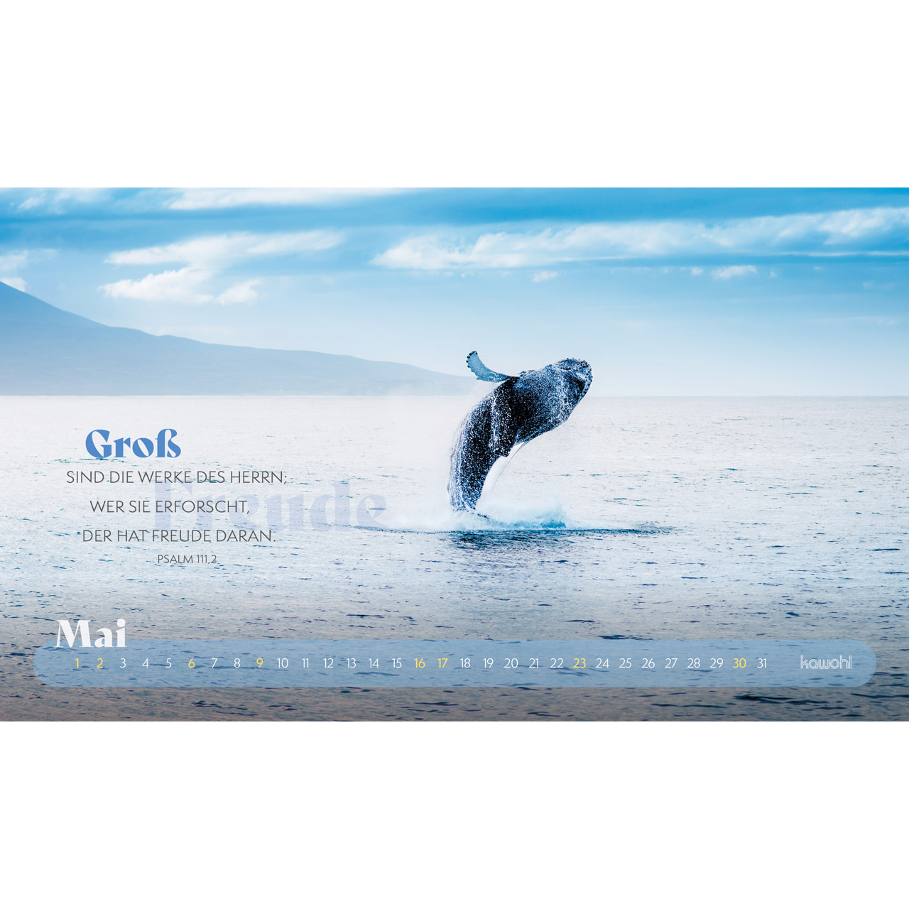 Postkartenkalender - Abenteuer - Mit Gott unterwegs 2027