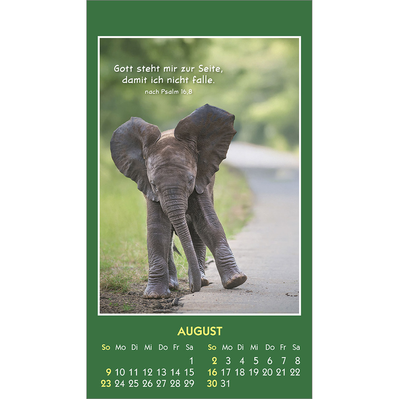 Aufkleberkalender - Hallo Du 2026 - Kaninchen Hase