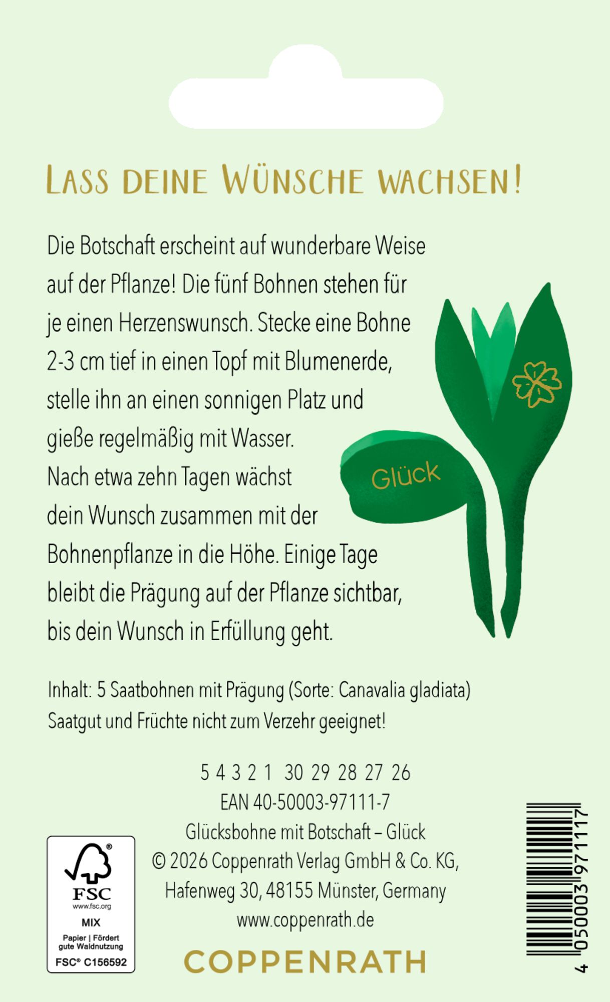 Saatgut - Glücksbohnen - Glück