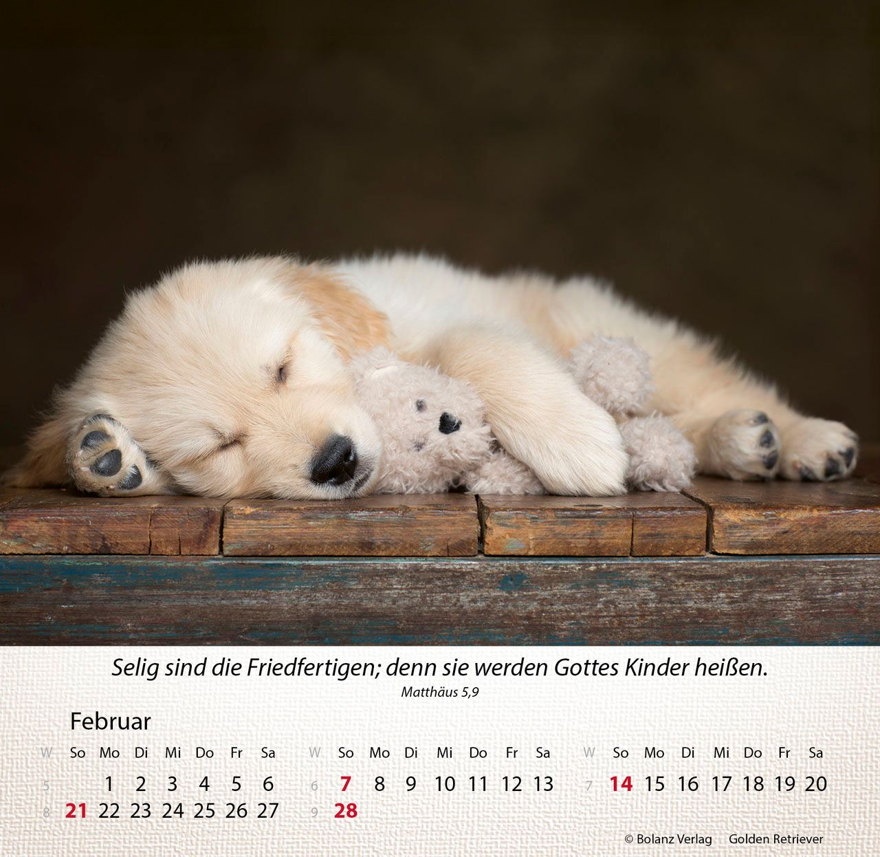 Tischkalender - Hunde 2027 Tischkalender
