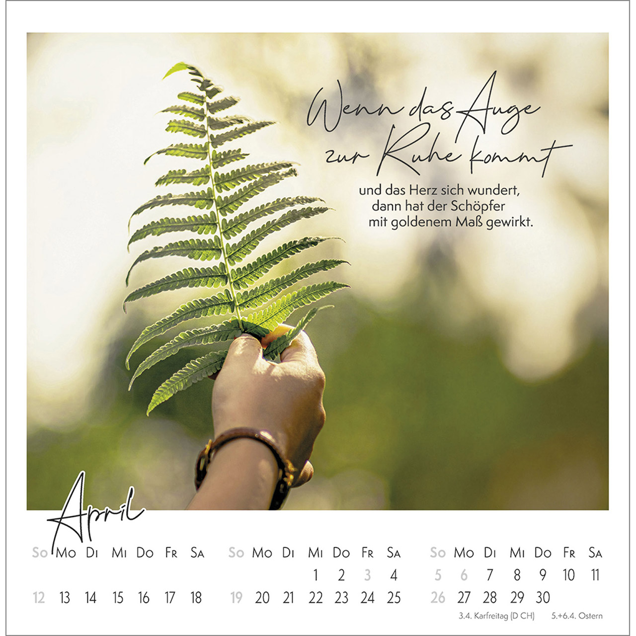 Postkartenkalender - Kleine Auszeit im Grünen 2026
